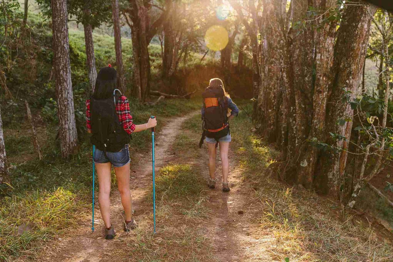 SpinSpider - TusenFryd