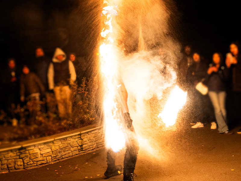 Flammeshow