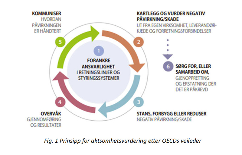Prinsipp for aktsomhetsvurdering etter OECDs veileder
